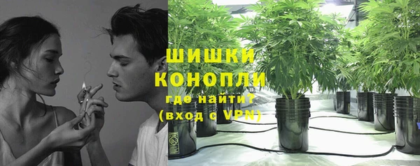 прущие грибы Баксан
