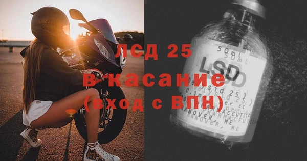 прущие грибы Баксан