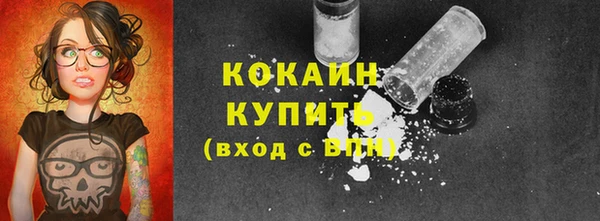 прущие грибы Баксан