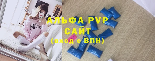 прущие грибы Баксан