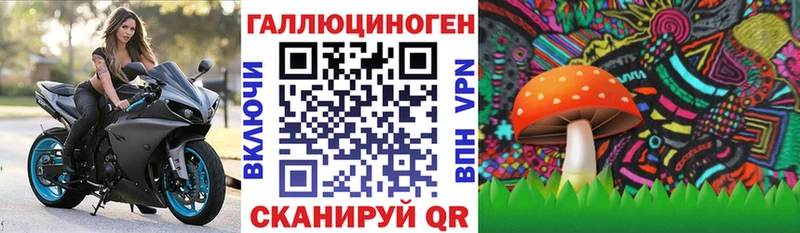 Купить где  Качканар  Галлюциногенные грибы Psilocybine cubensis 